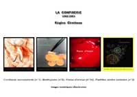 Exposition Régine Cirotteau - C'est fantastique !