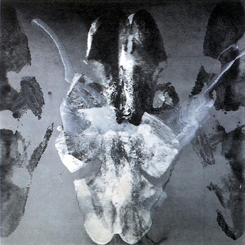 François Rouan, Épreuve négative III, 1998 - 2002. Tirage argentique et peinture à la cire, 49x50cm