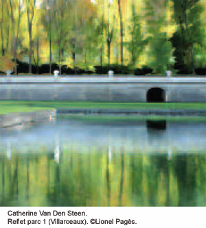 Catherine Van Den Steen. Reflet parc 1 (Villarceaux). 