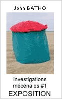 Visuelimage.com & Collège de Polytechnique présentent lexposition investigations mécénales