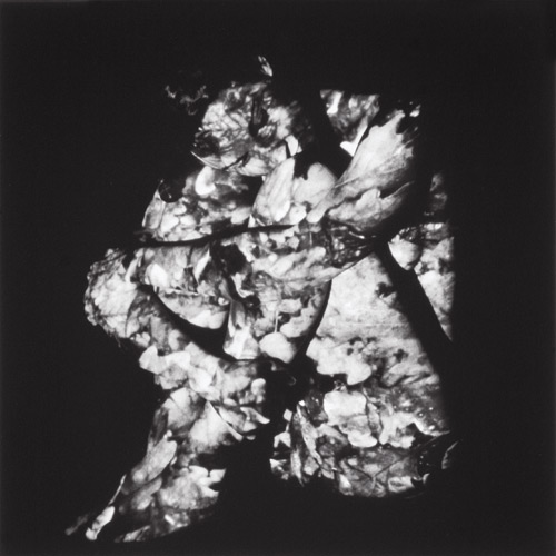 le salon de mai - peinture sculpture photographie gravure installation art contemporain paris
