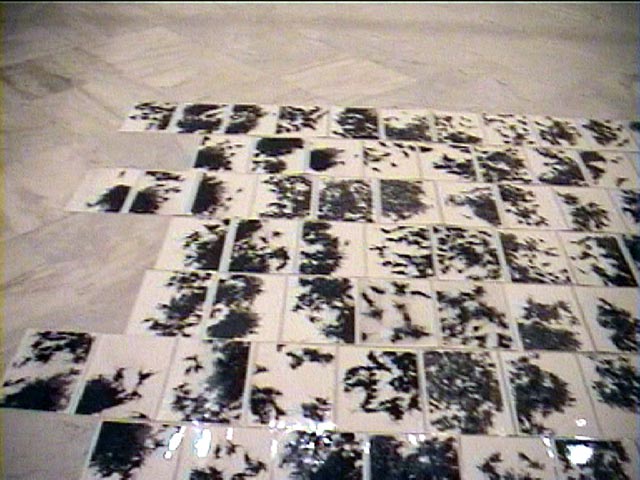 Fatma Charfi _ 04 _ www.tunisartcontemporain.com