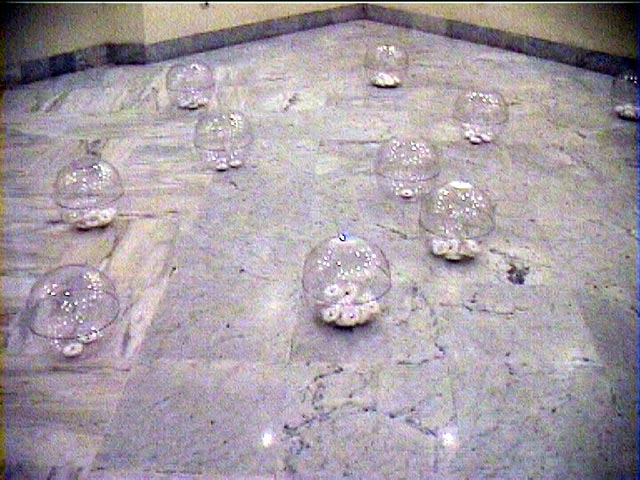 Fatma Charfi _ 06 _ www.tunisartcontemporain.com