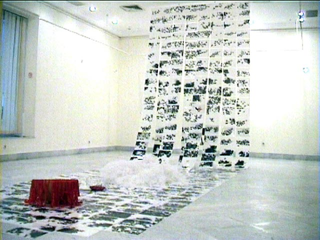 Fatma Charfi _ 07 _ www.tunisartcontemporain.com