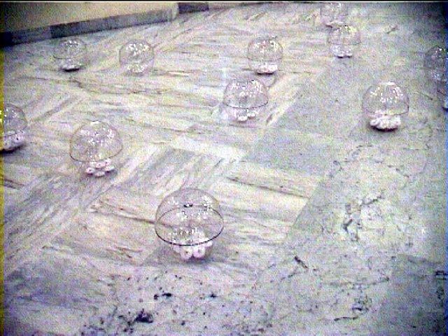 Fatma Charfi _ 09 _ www.tunisartcontemporain.com