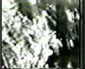 photographie - video - art - contemporain - tunis